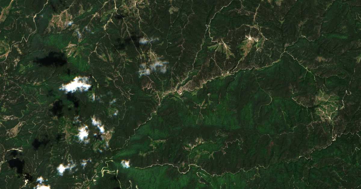 Satellitenkarte von Palatik