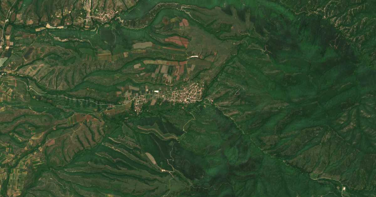 Satellitenkarte von Petrovo