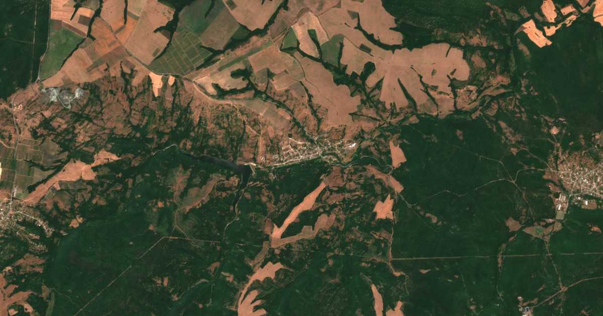 Satellitenkarte von Nowo Panitscharewo