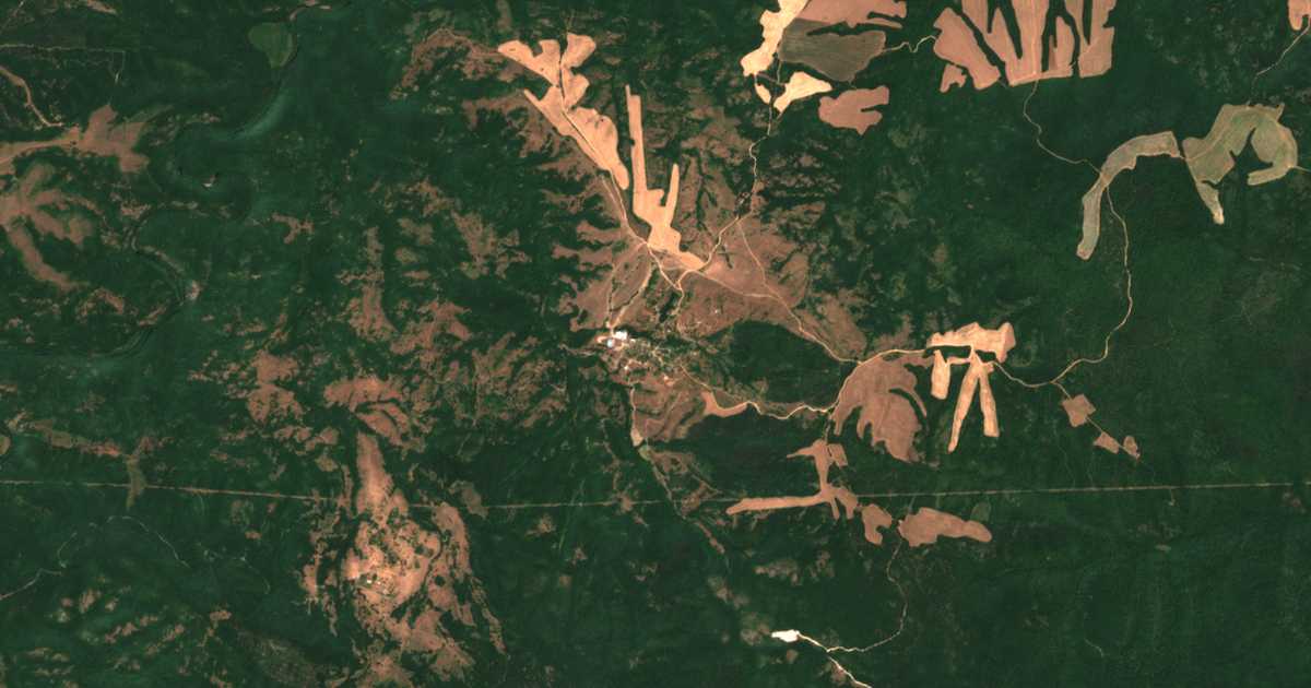 Satellitenkarte von Bogdanovo