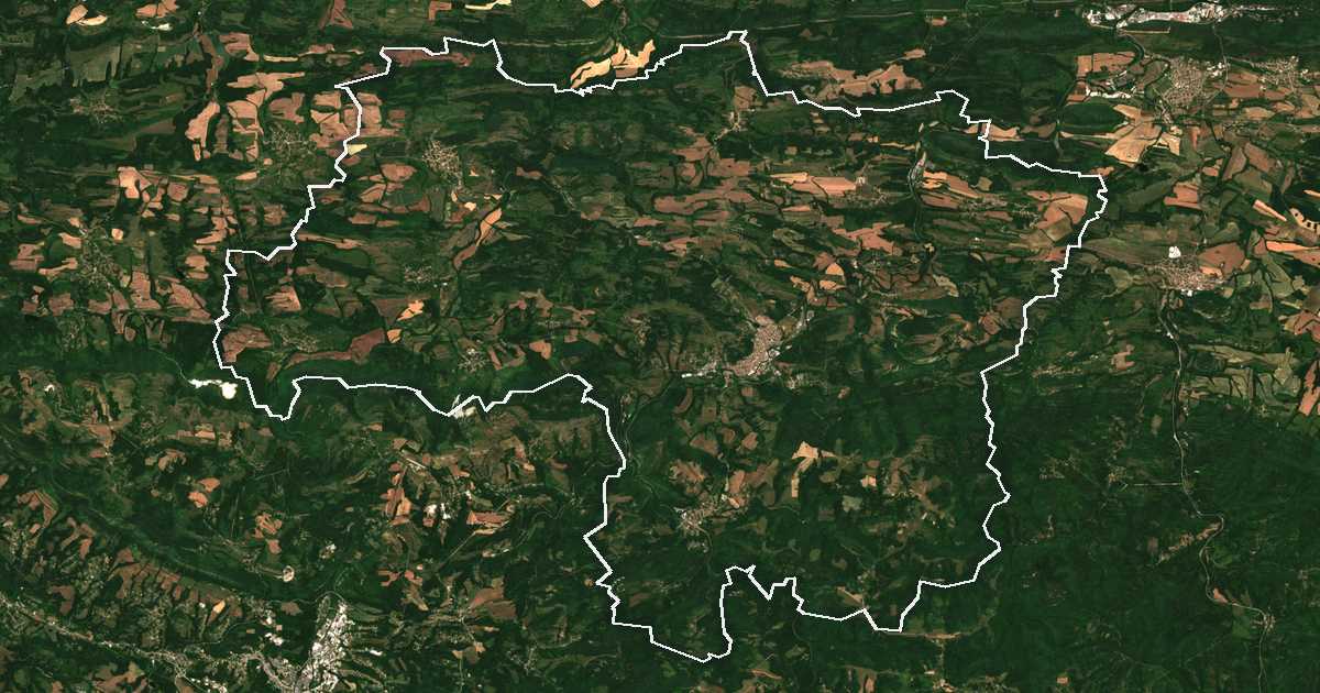 Satellitenbild mit eingezeichneter Grenze: Dryanovo