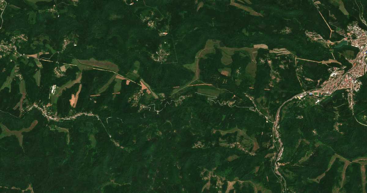 Satellitenkarte von Nikolaevo