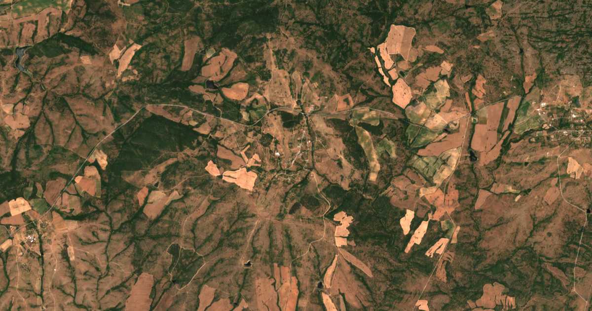 Satellitenkarte von Branica