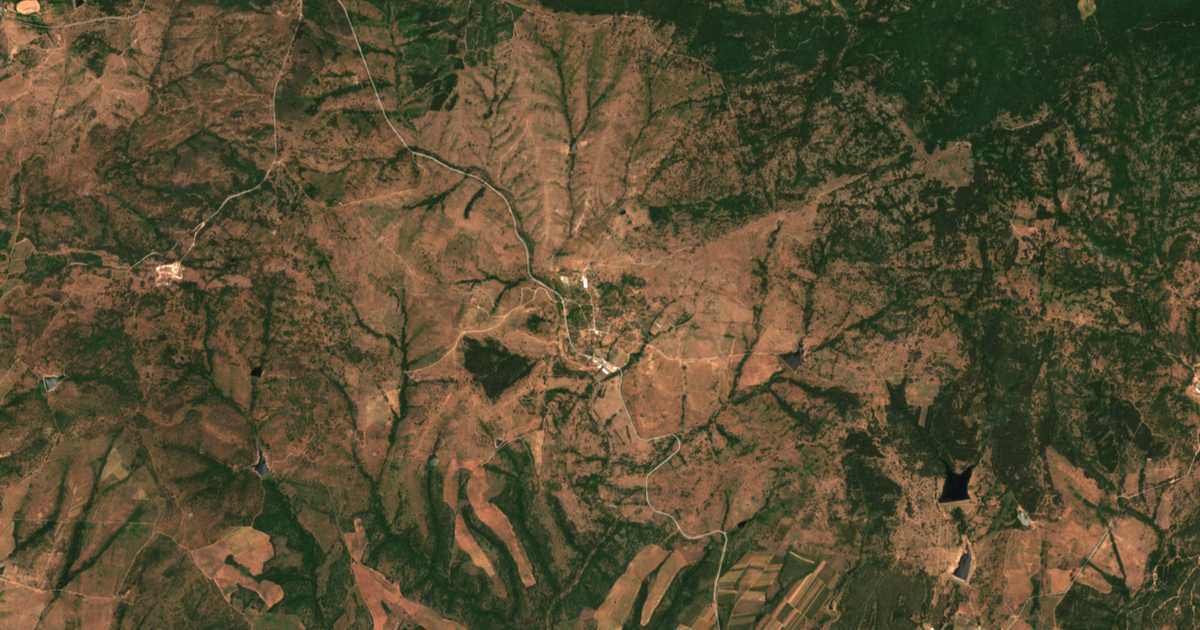 Satellitenkarte von Dripčevo