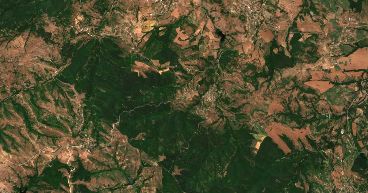 Satellitenkarte von Vinevo