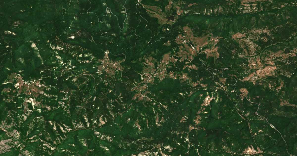 Satellitenkarte von Paničkovo