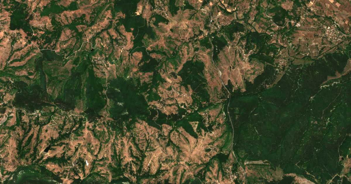 Satellitenkarte von Svobodinovo