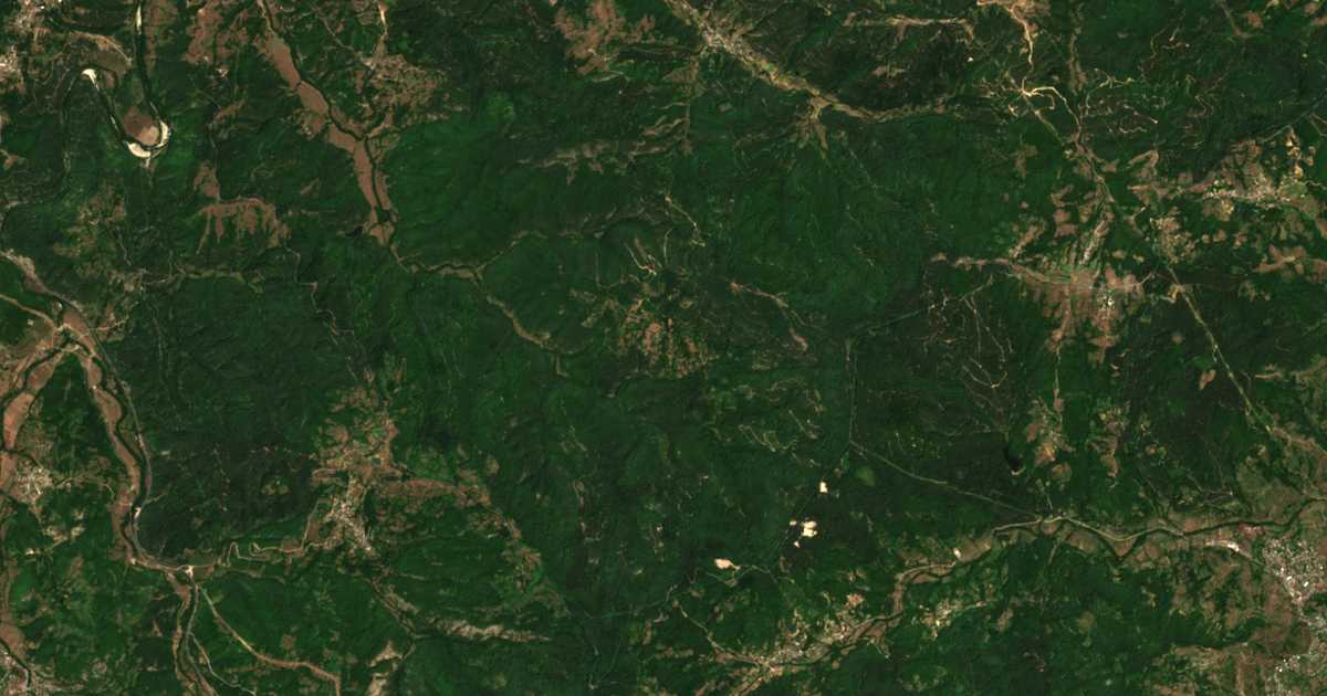Satellitenkarte von Carino