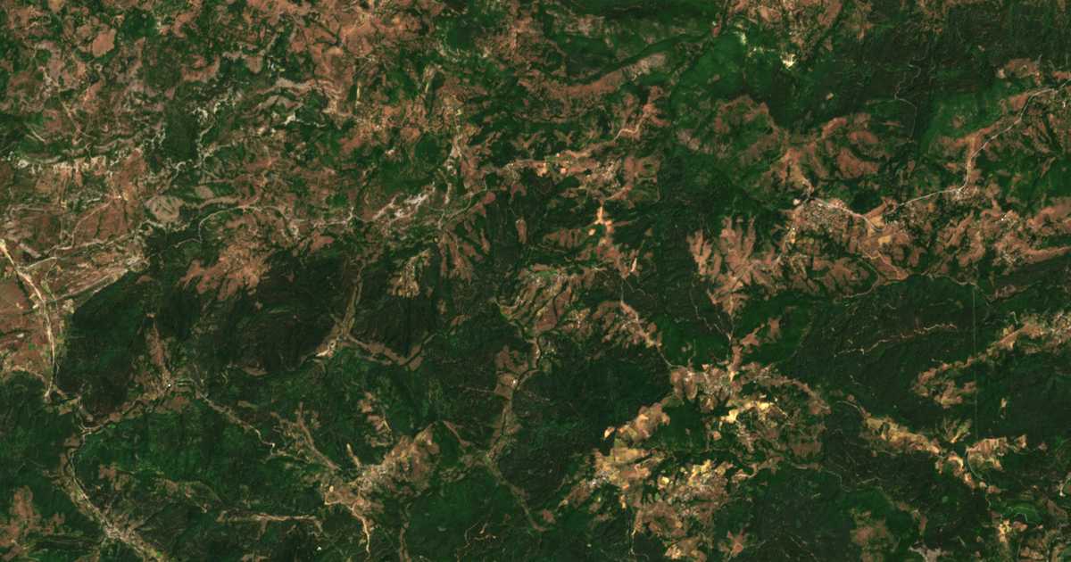 Satellitenkarte von Grivka