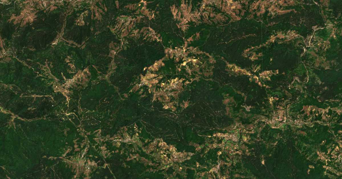 Satellitenkarte von Pašinci
