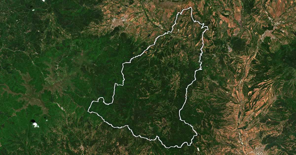 Satellitenbild mit eingezeichneter Grenze: Nevestino