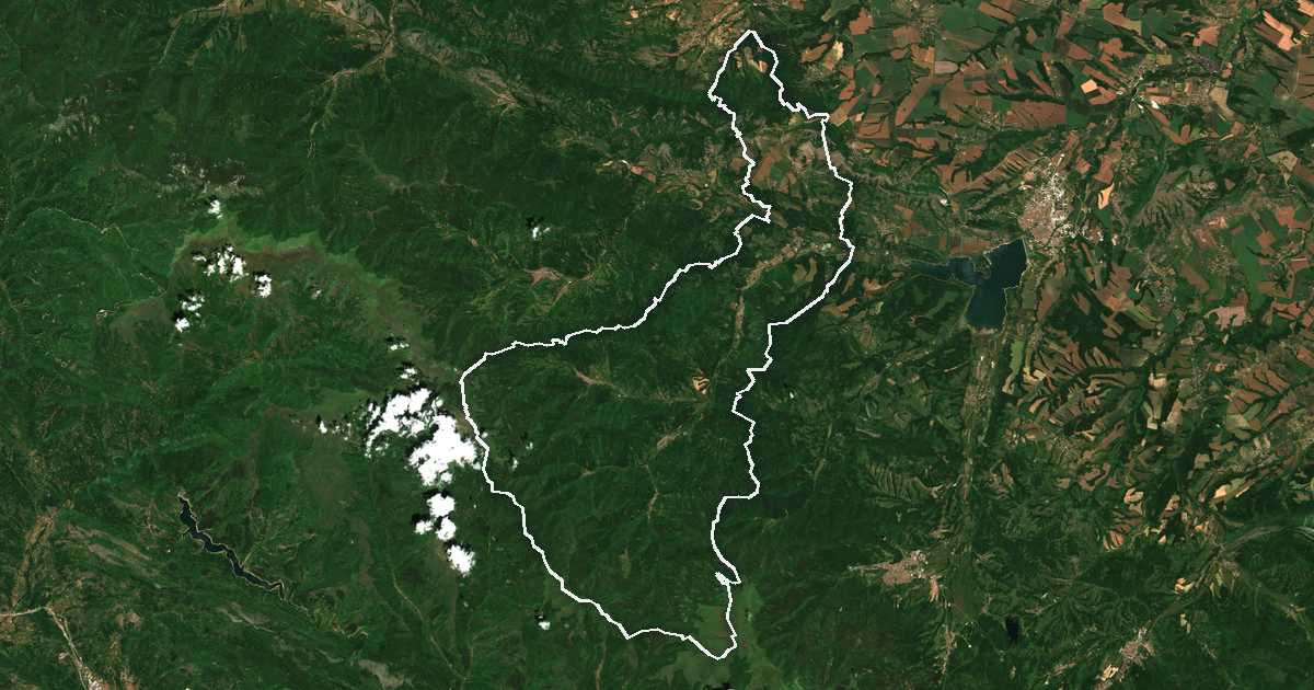 Satellitenbild mit eingezeichneter Grenze: Georgi Damyanovo