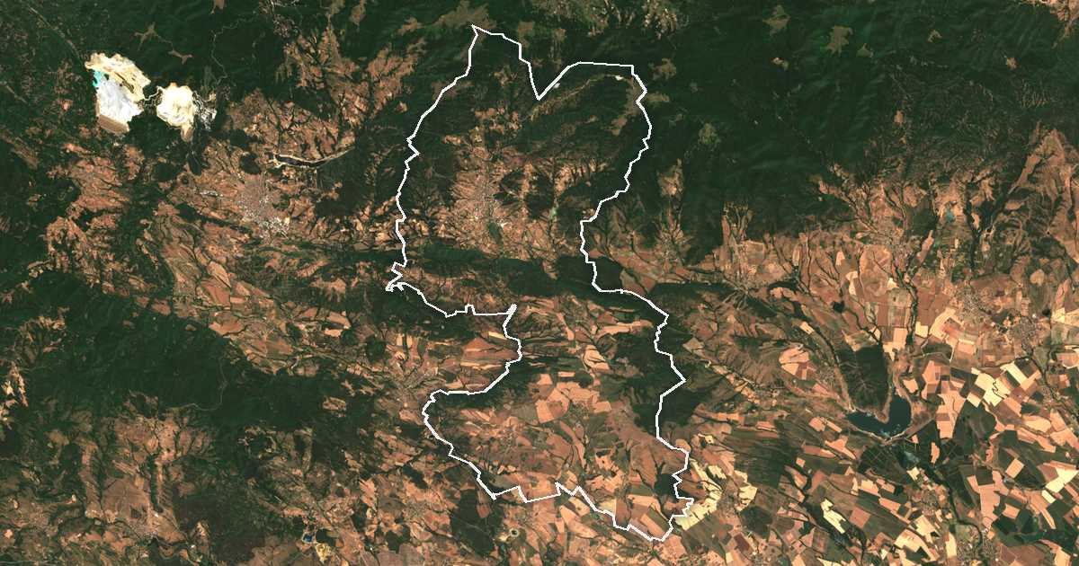 Satellitenbild mit eingezeichneter Grenze: Strelča