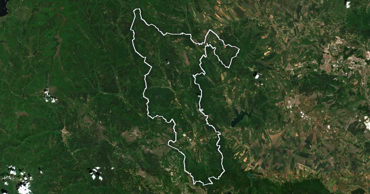 Satellitenbild mit eingezeichneter Grenze: Zemen