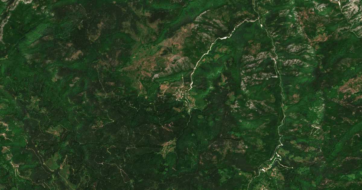 Satellitenkarte von Drjanovo