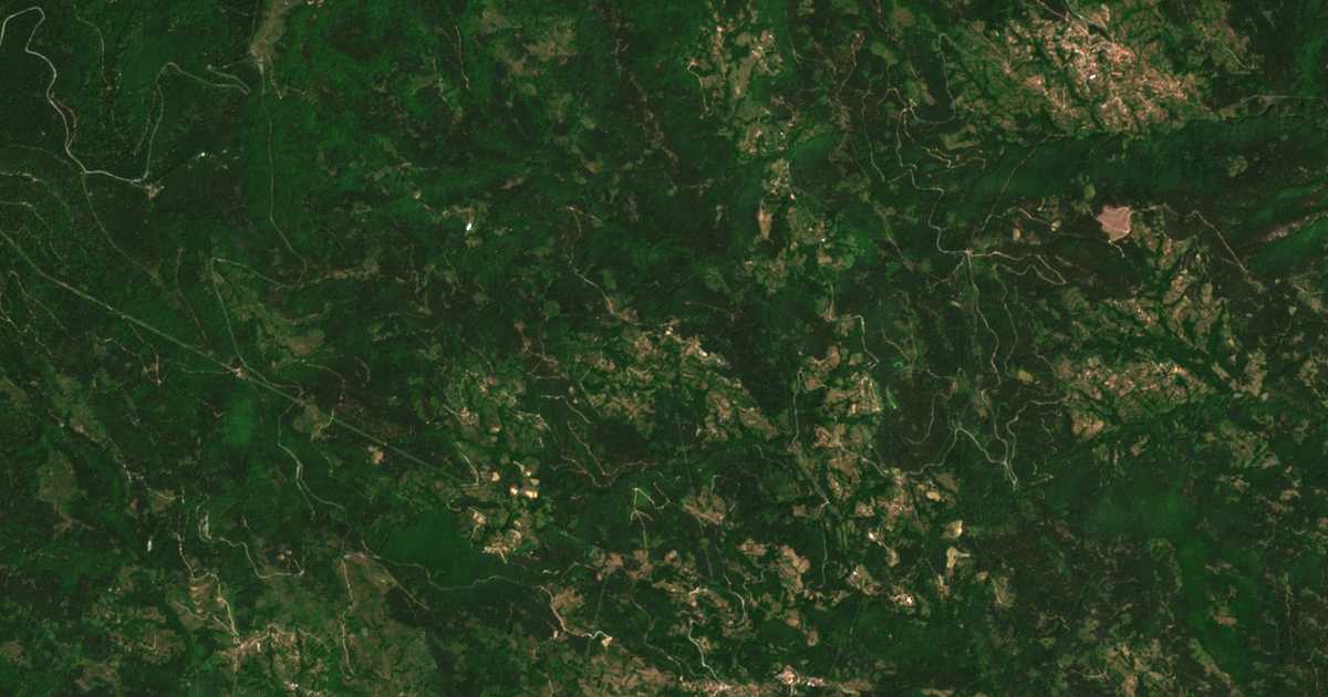 Satellitenkarte von Bosilkovo