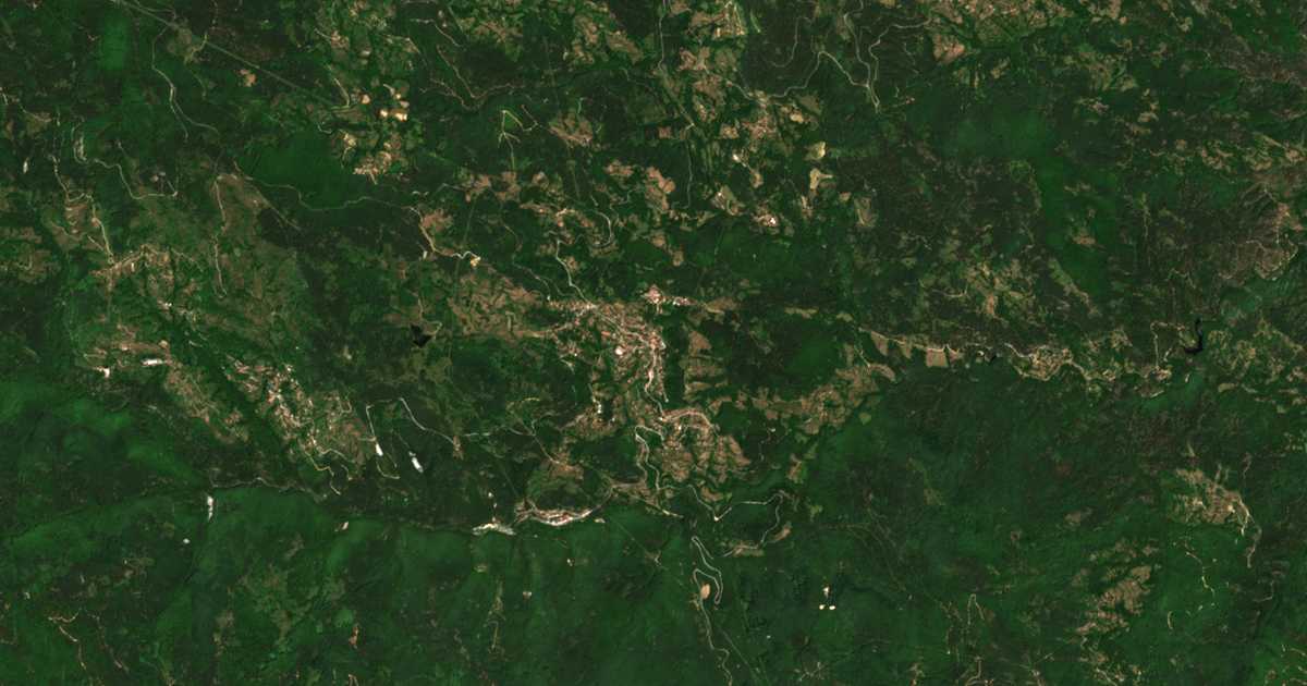 Satellitenkarte von Davidkovo