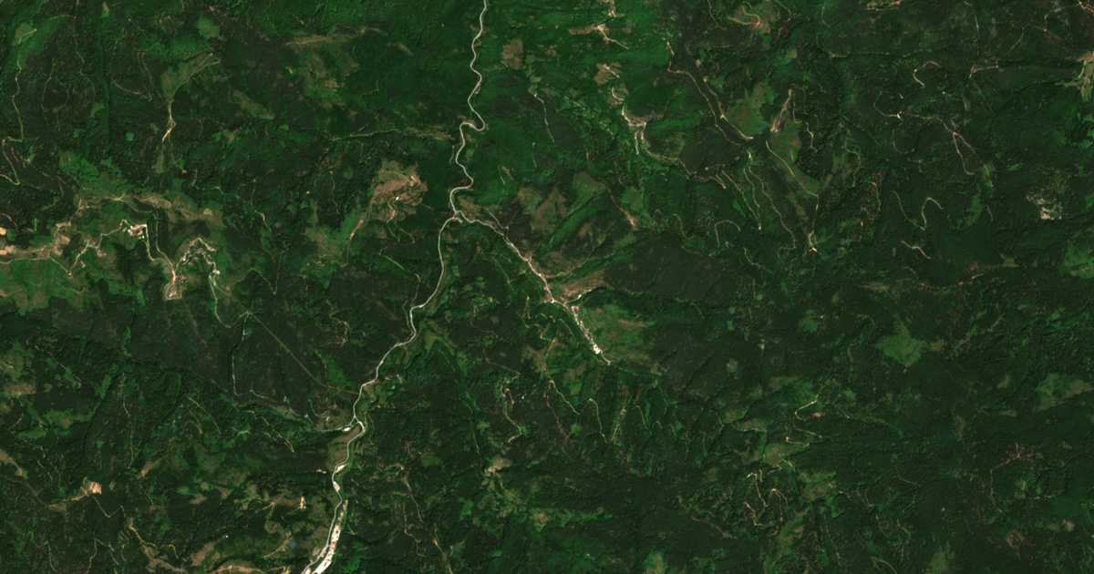 Satellitenkarte von Bogutevo
