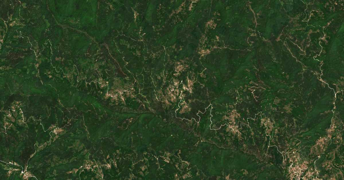 Satellitenkarte von Borovina