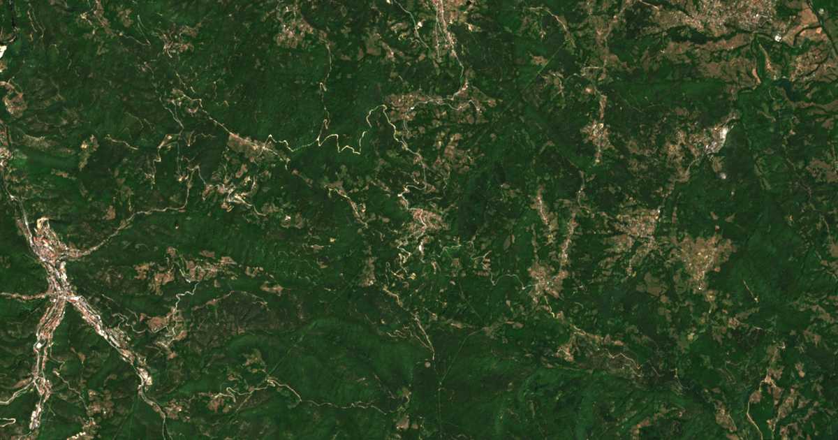 Satellitenkarte von Bukovo
