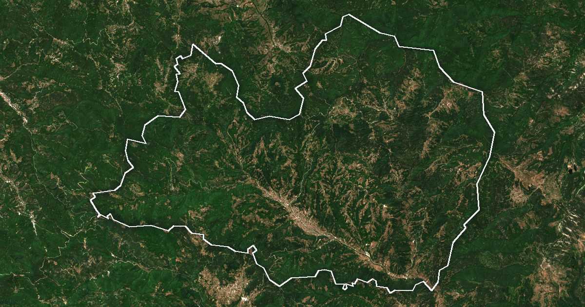 Satellitenbild mit eingezeichneter Grenze: Nedelino