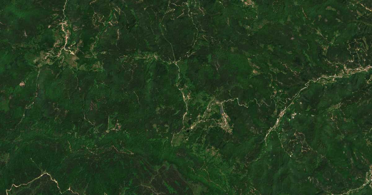 Satellitenkarte von Gorovo