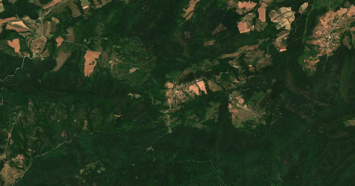 Satellitenkarte von Ptičevo