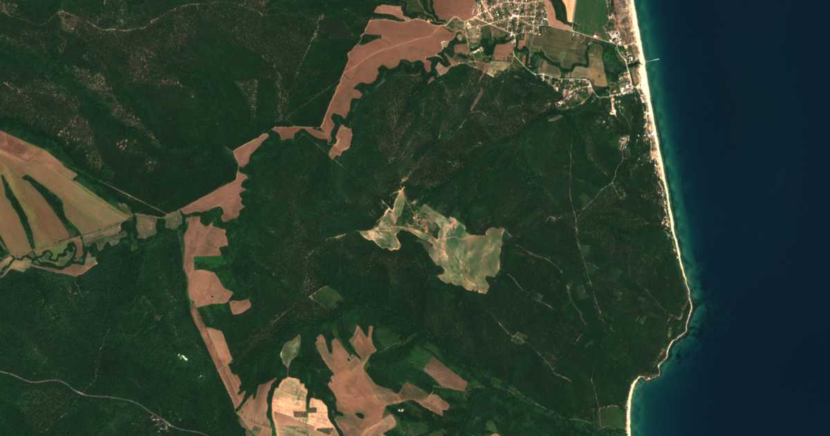 Satellitenkarte von Samotino