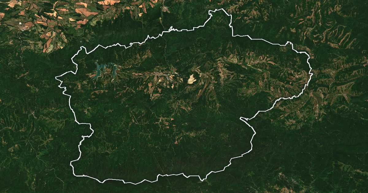 Satellitenbild mit eingezeichneter Grenze: Elena