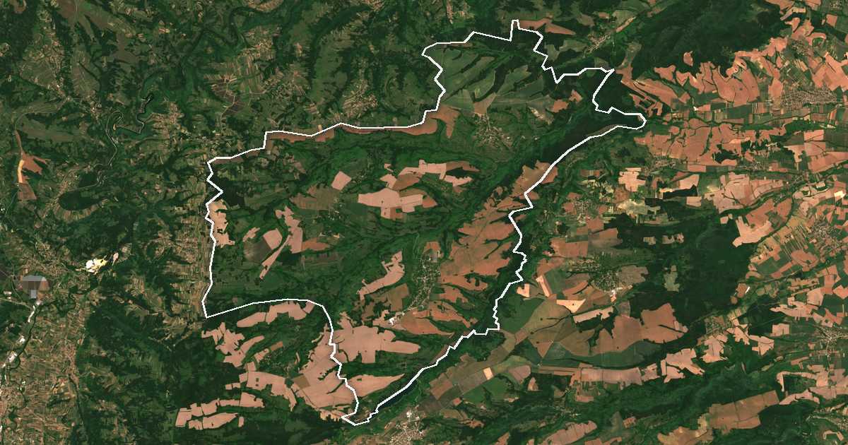 Satellitenbild mit eingezeichneter Grenze: Bojnica