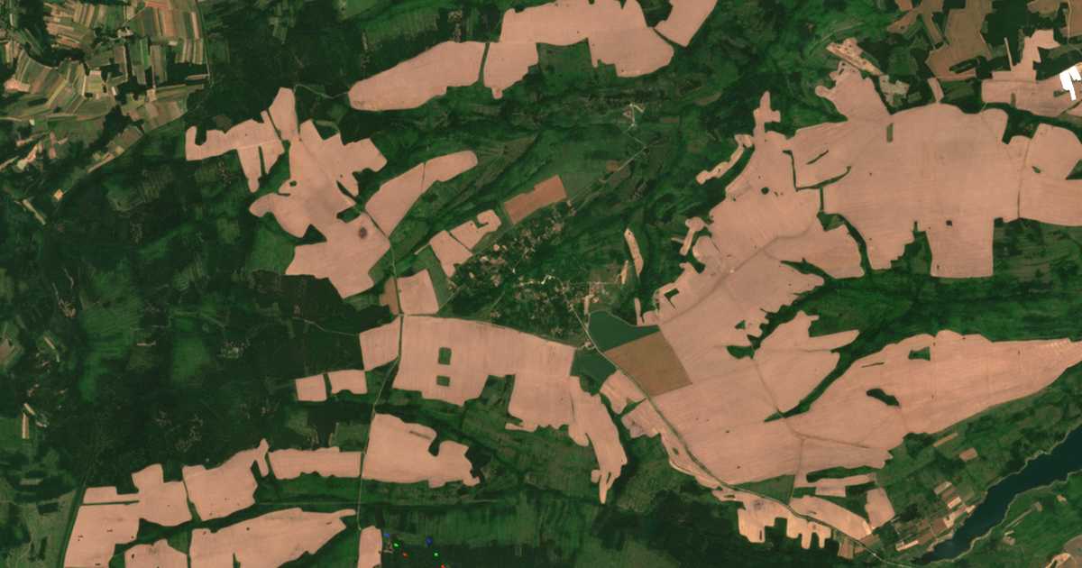 Satellitenkarte von Golemanovo