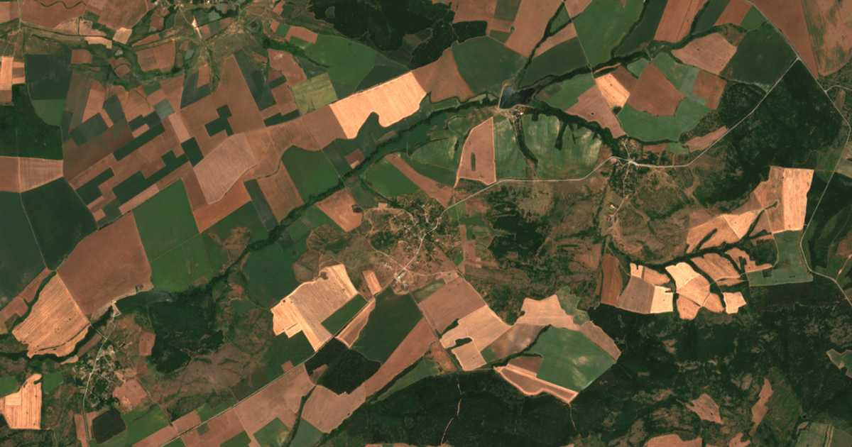 Satellitenkarte von Borisovo