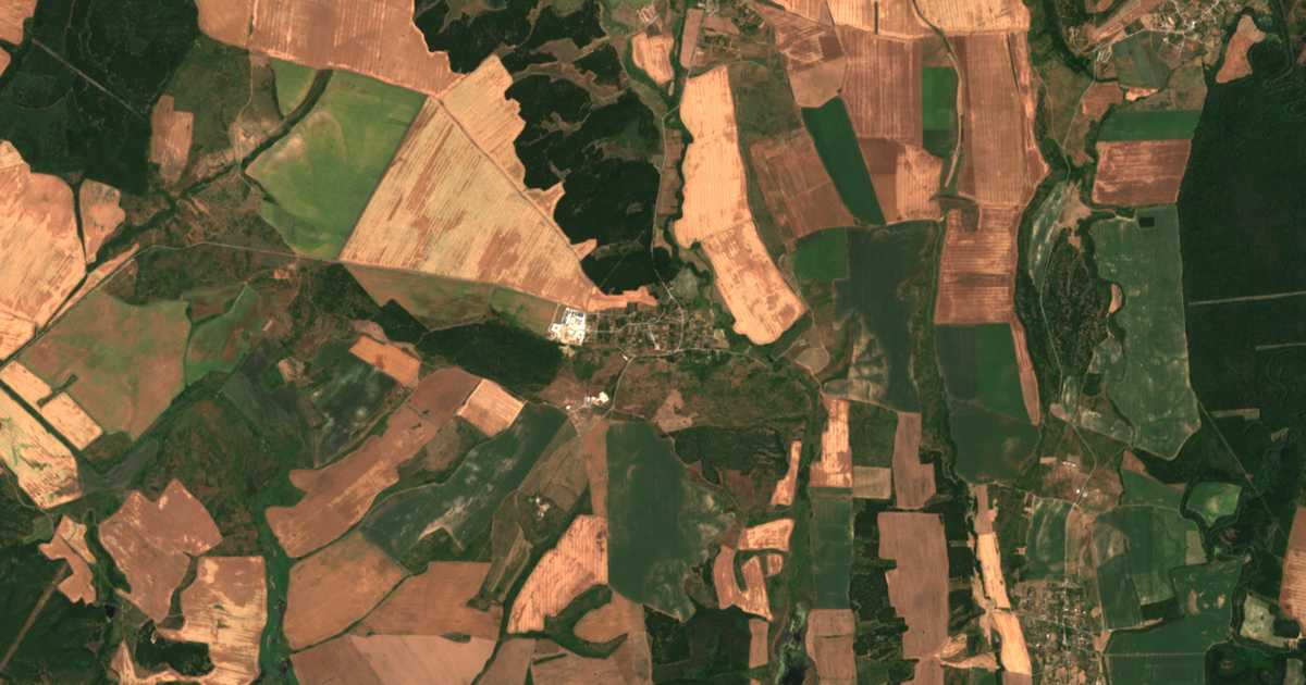 Satellitenkarte von Drjanovo