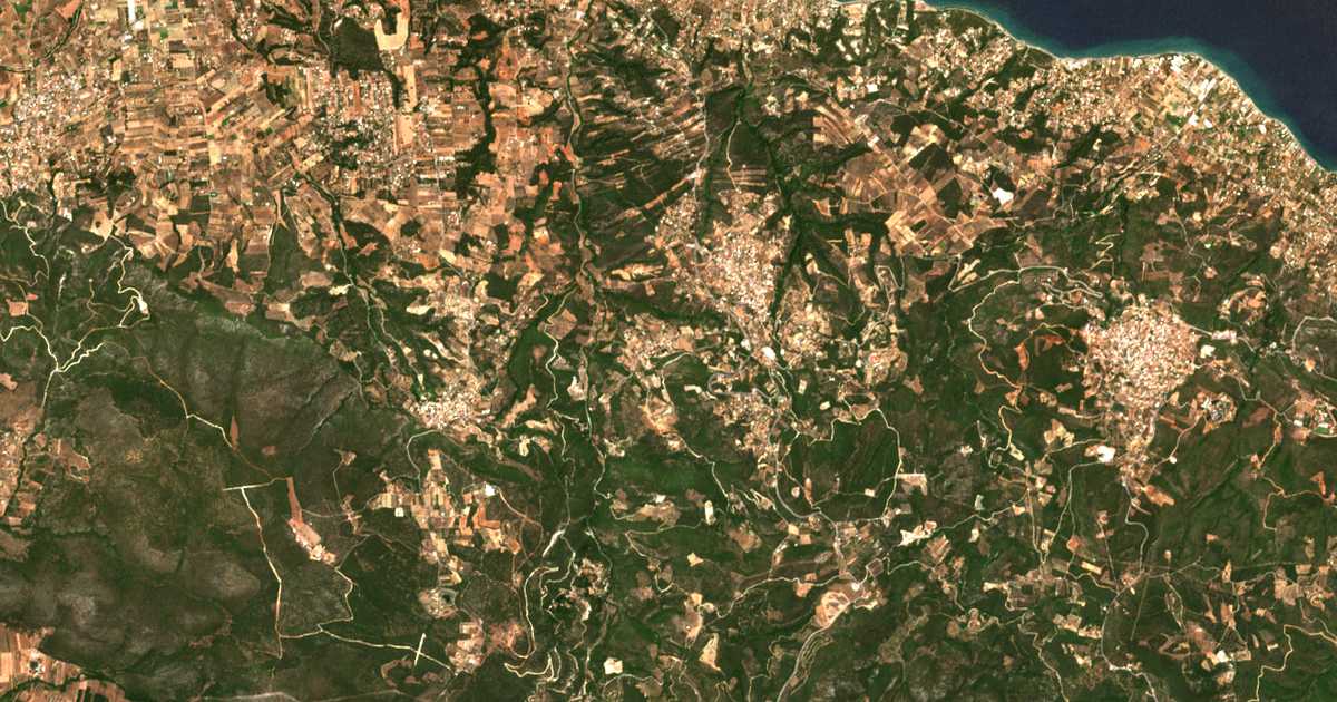 Satellitenkarte von Néon Livýssion