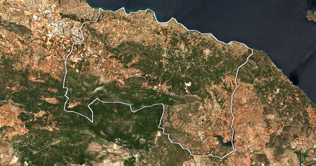 Satellitenbild mit eingezeichneter Grenze: Dímos Oropoú