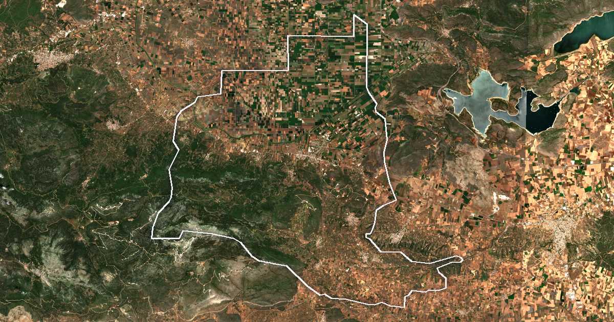 Satellitenbild mit eingezeichneter Grenze: Aliartos-Thespies