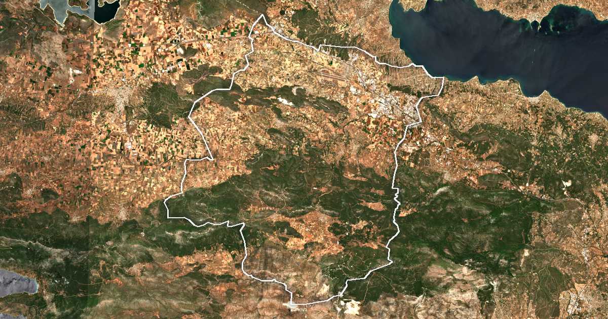 Satellitenbild mit eingezeichneter Grenze: Dímos Tanágras
