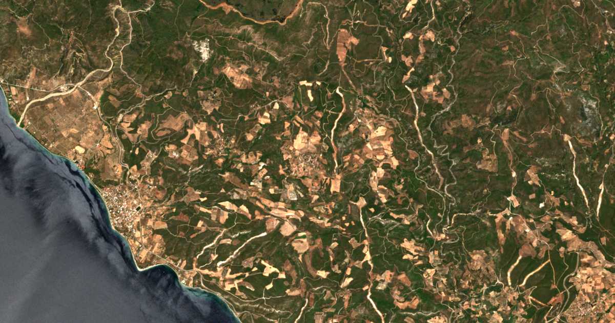 Satellitenkarte von Damiá