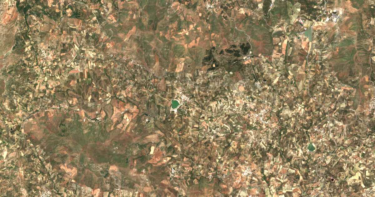 Satellitenkarte von Damánia