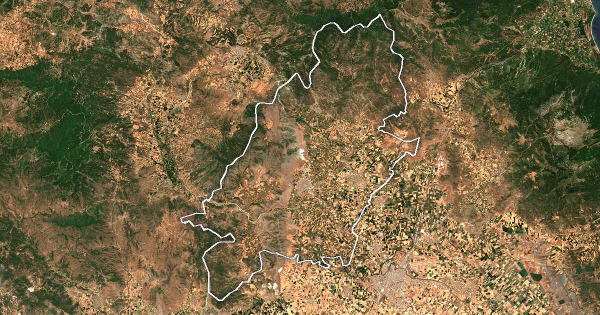Satellitenbild mit eingezeichneter Grenze: Dímos Tyrnávou